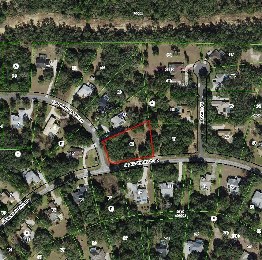 1085 E Morningstar Lane, Hernando, FL 34442 - #2