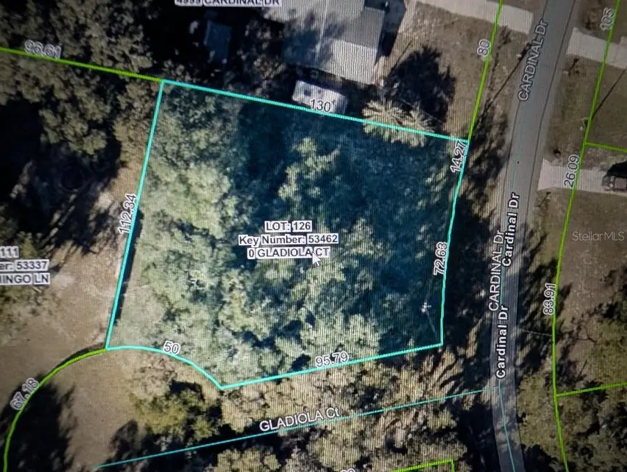 0 Gladiola Court, Dade City, FL 33523 - #2