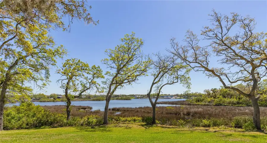 8910 Eagle Watch Drive, Riverview, FL 33578 - Image #2