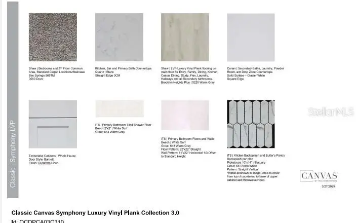 3938 Immacolata Way, Wesley Chapel, FL 33543 - Image #3