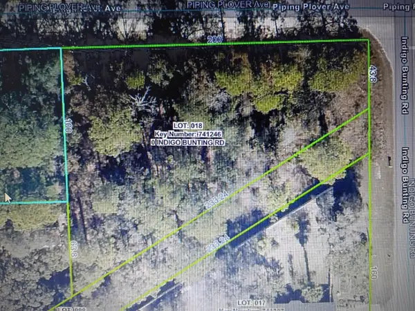 12449 Indigo Bunting, WEEKI WACHEE, FL 34614