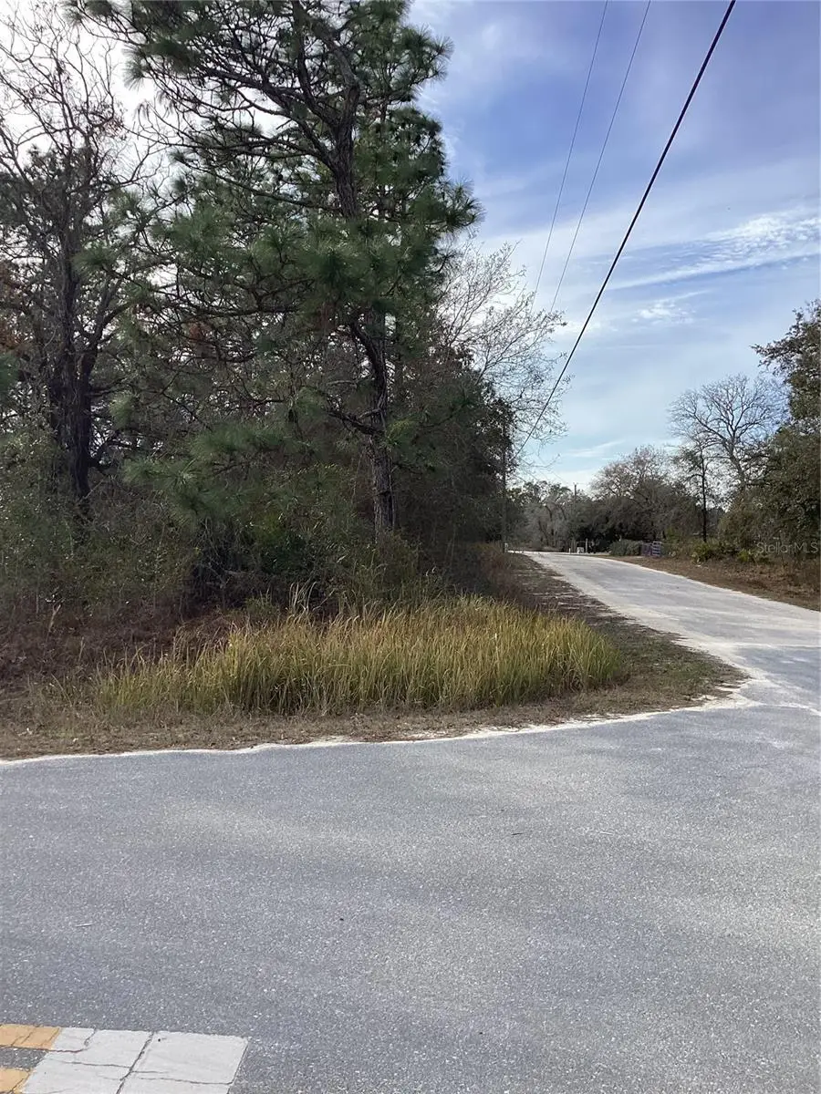 Indigo Bunting, Weeki Wachee, FL 34614 - #2