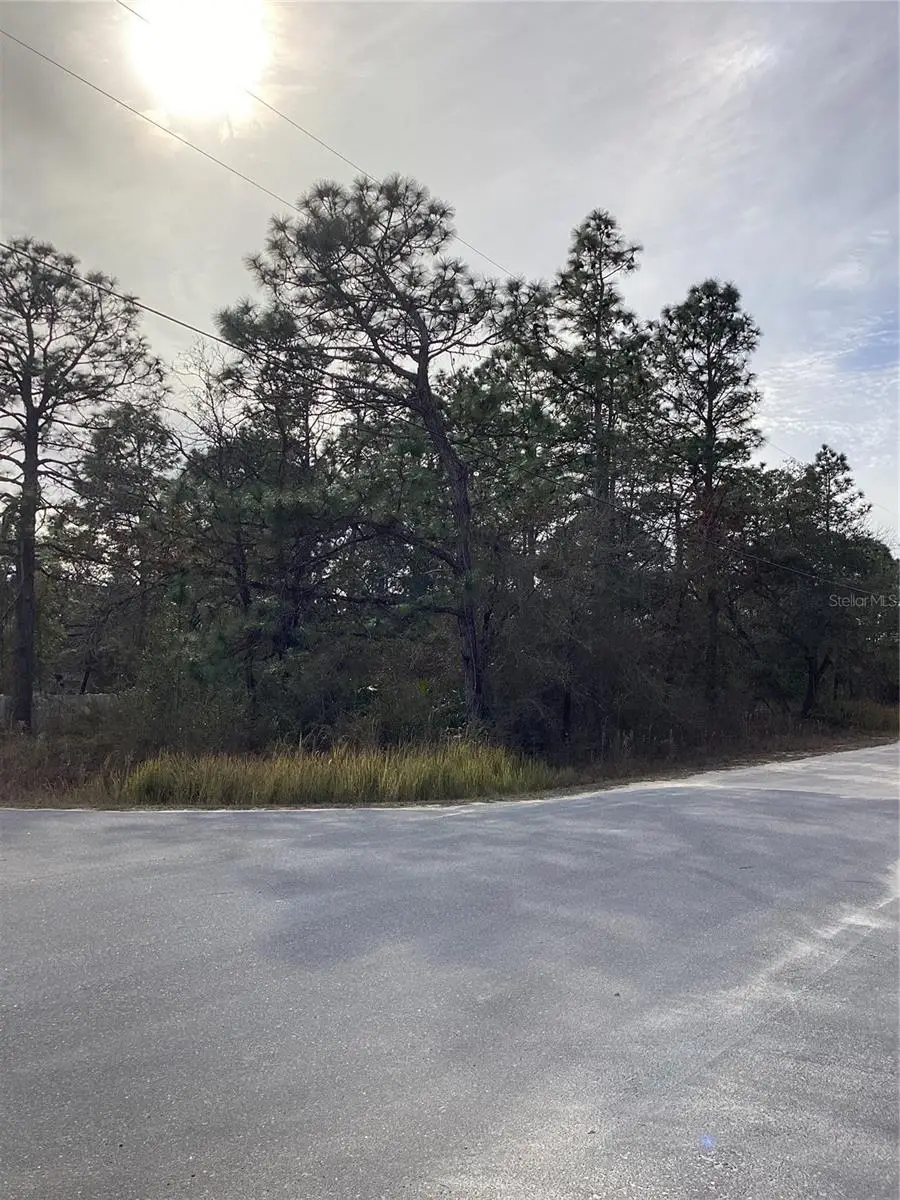 Indigo Bunting, Weeki Wachee, FL 34614 - #3