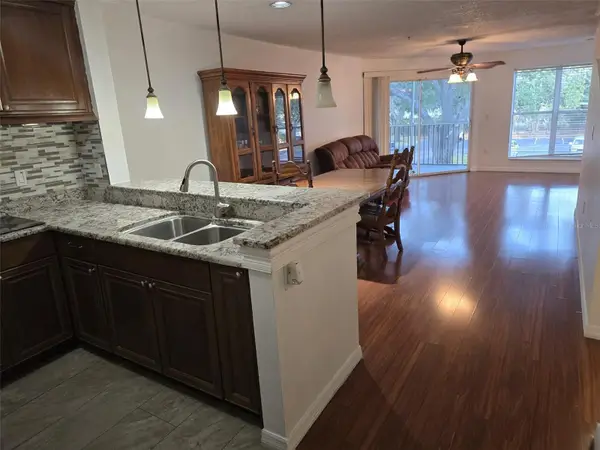 4115 Chatham Oak Court #218, TAMPA, FL 33624