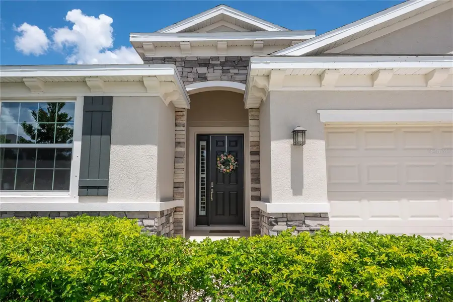 16619 Mooner Plank Circle, Wimauma, FL 33598 - #3