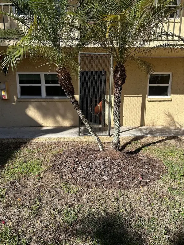 11485 Oakhurst Road #200-114, LARGO, FL 33774