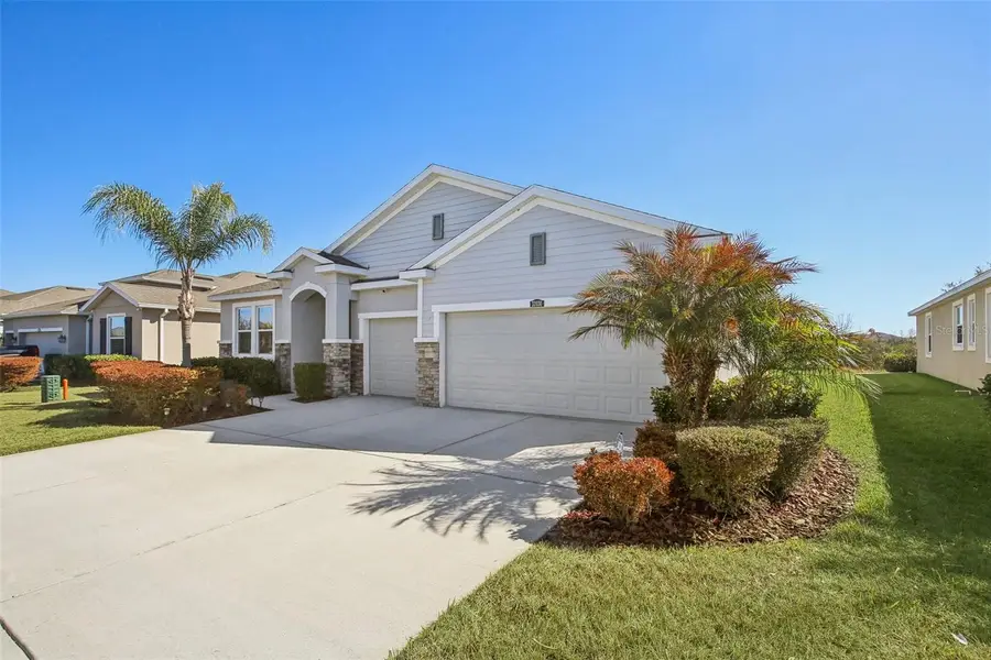 32030 Goddard Drive, Wesley Chapel, FL 33543 - #2