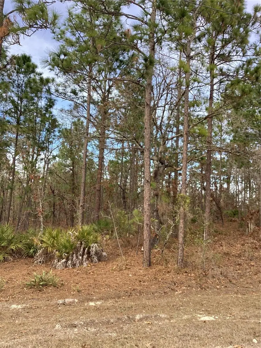 0 Chickadee Road, Weeki Wachee, FL 34614 - #3