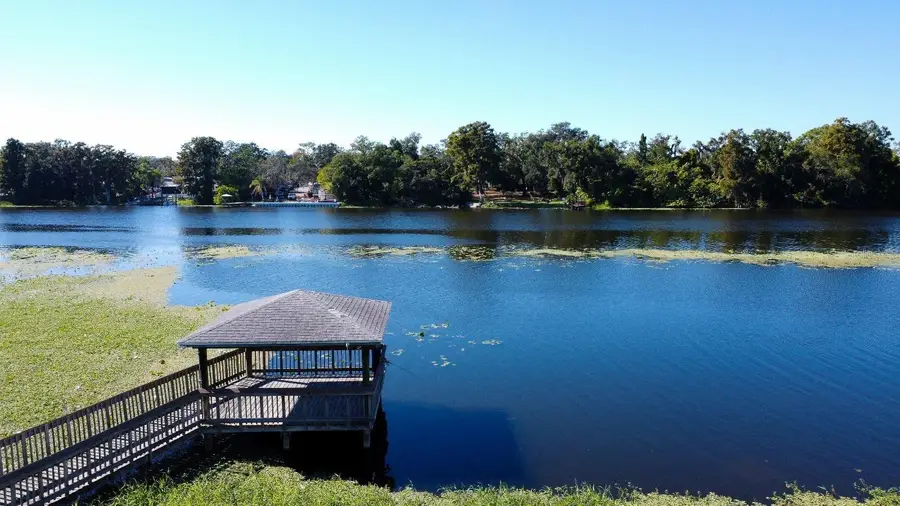 4129 Dolphin Drive #1, Tampa, FL 33617 - Image #3