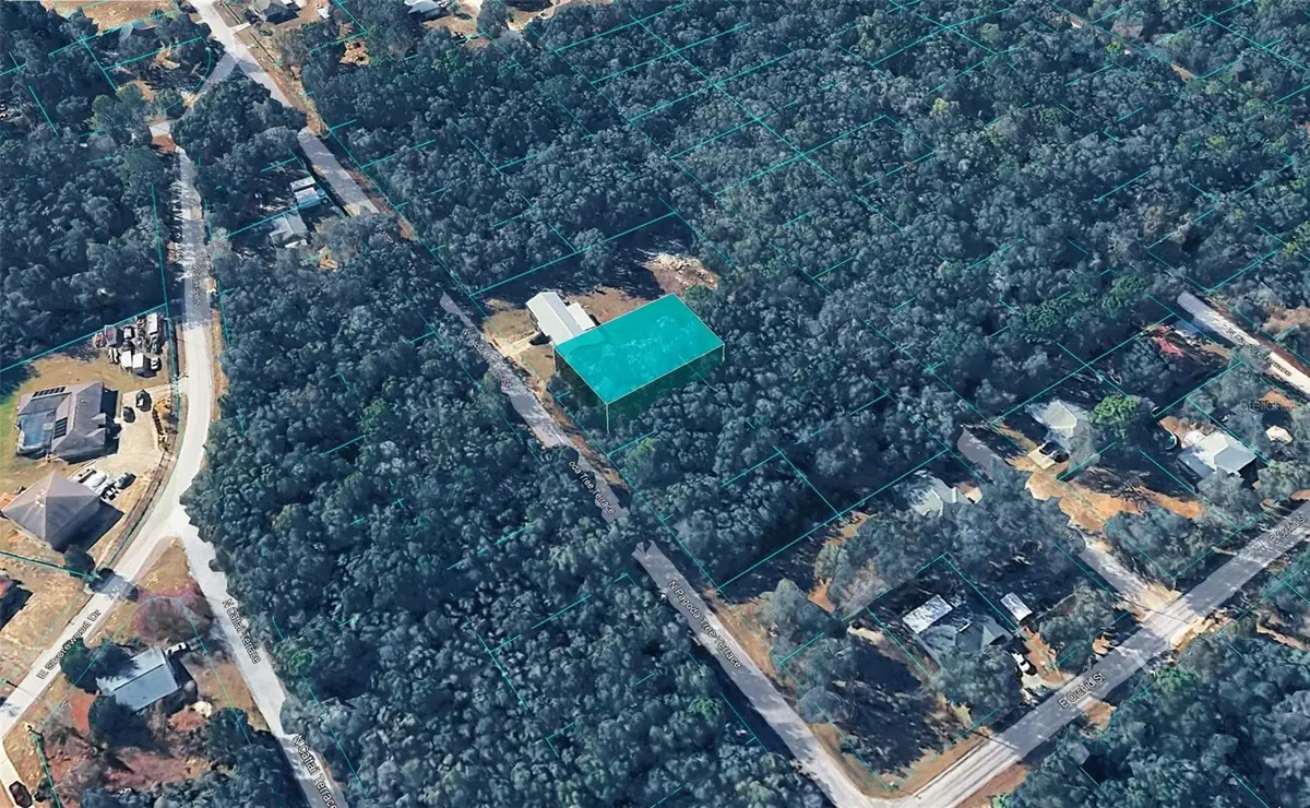 6600 N Pagoda Tree Terrace, Hernando, FL 34442 - #1