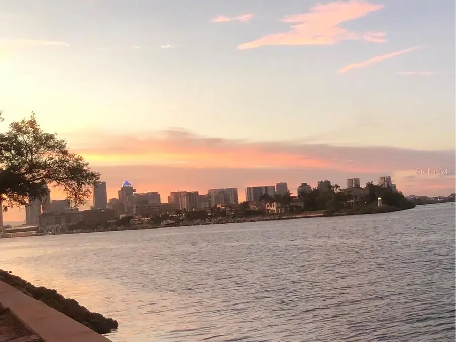 105 Chesapeake Avenue, Tampa, FL 33606 - Image #3