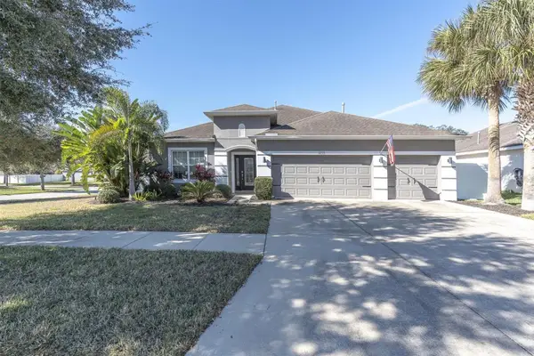 10223 Caraway Spice Avenue, RIVERVIEW, FL 33578