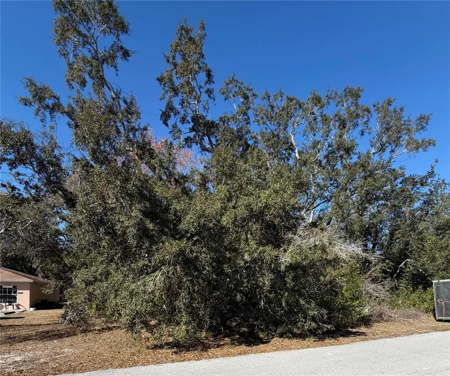 1241 Sylvia Avenue, Spring Hill, FL 34606 - Image #2