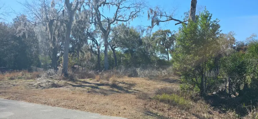 4864 S Whitetail Terrace, Floral City, FL 34436 - Image #3