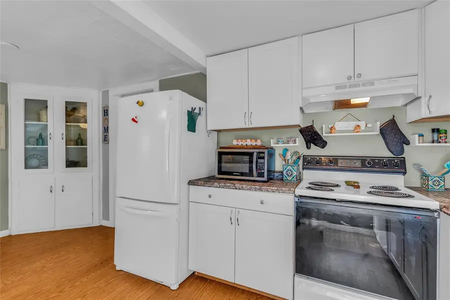 11408 Huggins Street, Leesburg, FL 34788 - #2