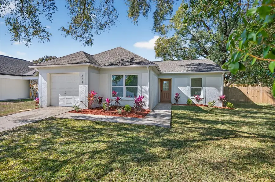 228 Regal Park Drive, Valrico, FL 33594 - #2