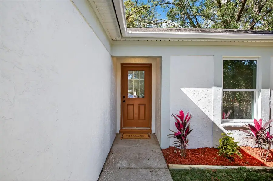 228 Regal Park Drive, Valrico, FL 33594 - #3