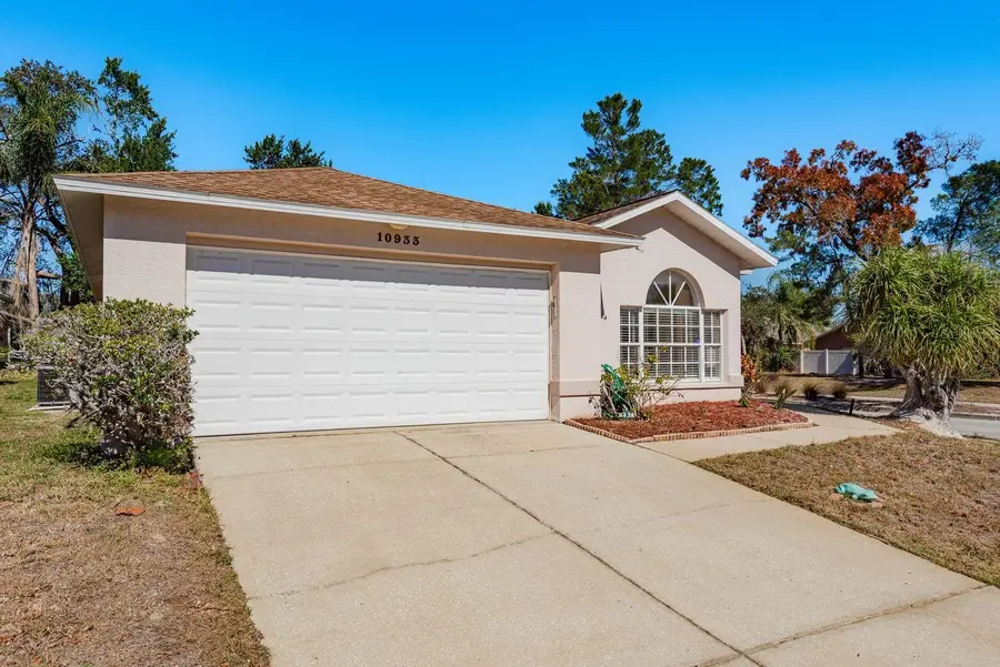 10933 Belmont Drive, New Port Richey, FL 34654 - Image #3