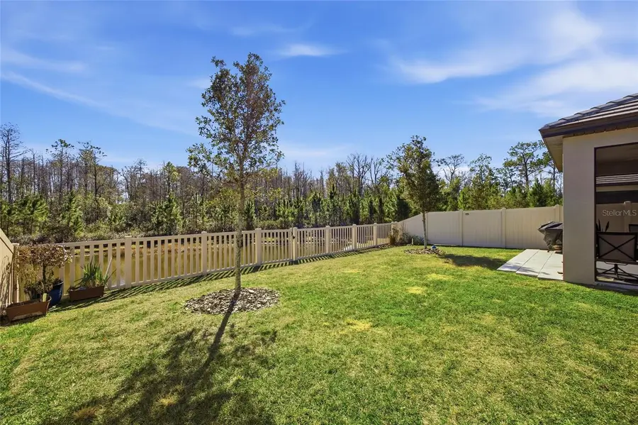 16816 Shell Bay Drive, Land O Lakes, FL 34638 - #3