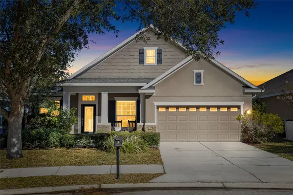 15861 Starling Water Drive, LITHIA, FL 33547