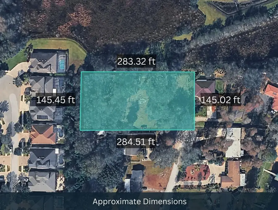 Blount Road, Lutz, FL 33558 - #2