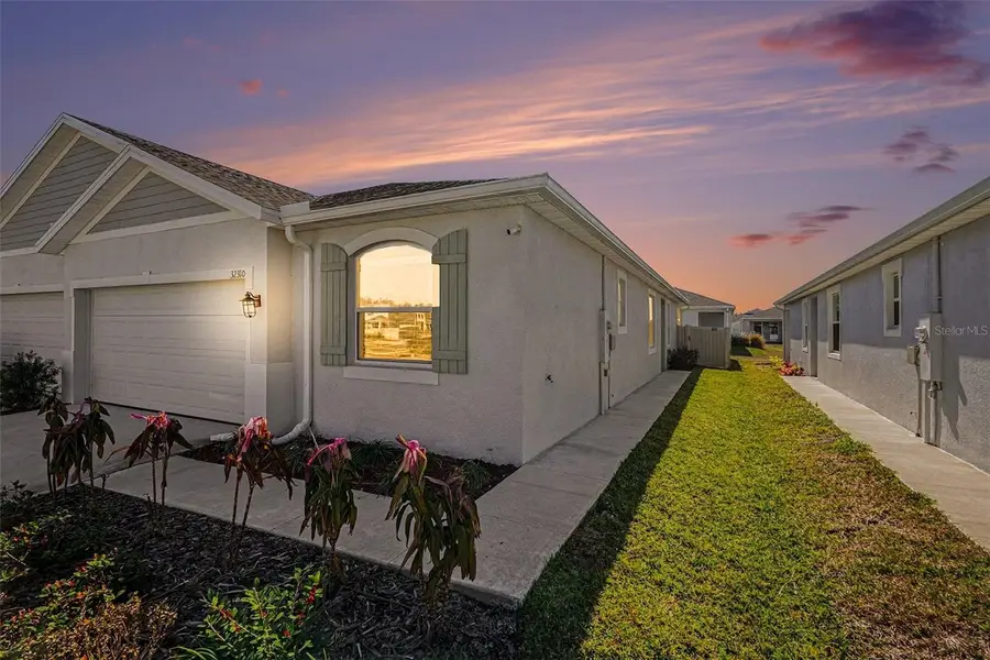 32310 Lexington Street, Wesley Chapel, FL 33543 - #3