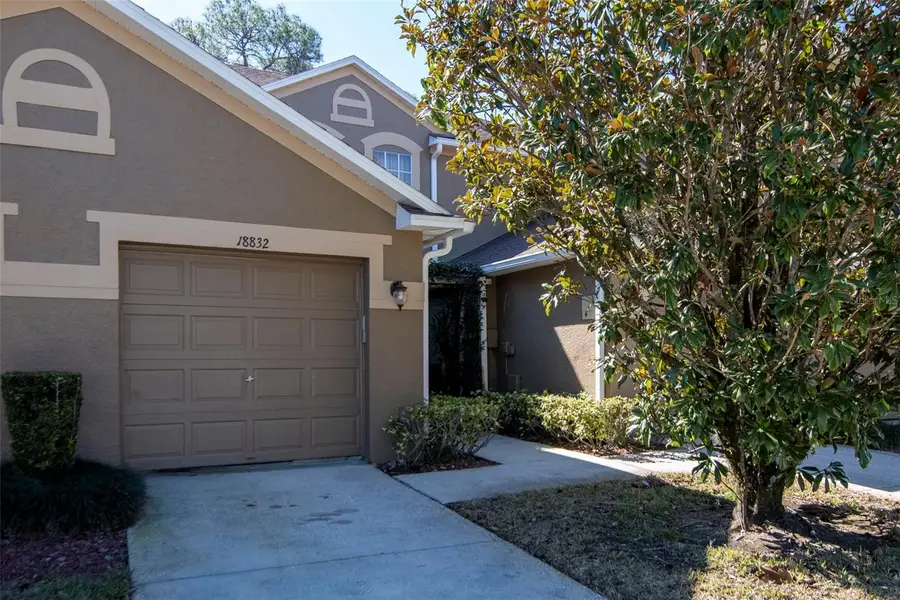 18832 Duquesne Drive, Tampa, FL 33647 - #2