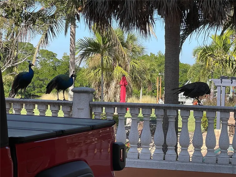 9017 Baywood Park Drive, Seminole, FL 33777 - Image #3