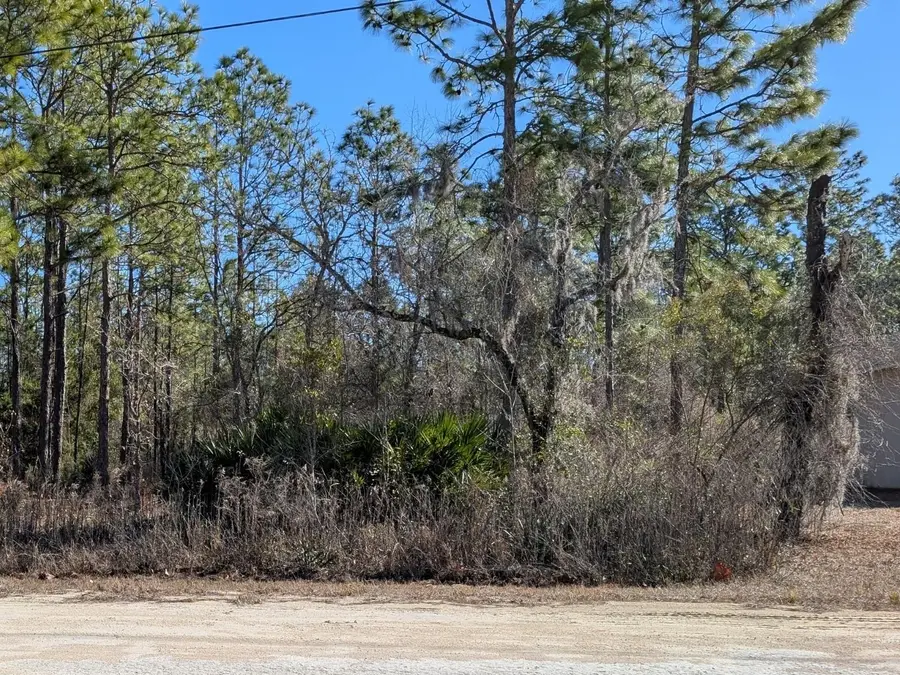 15252 Coot Road, Brooksville, FL 34614 - Image #2