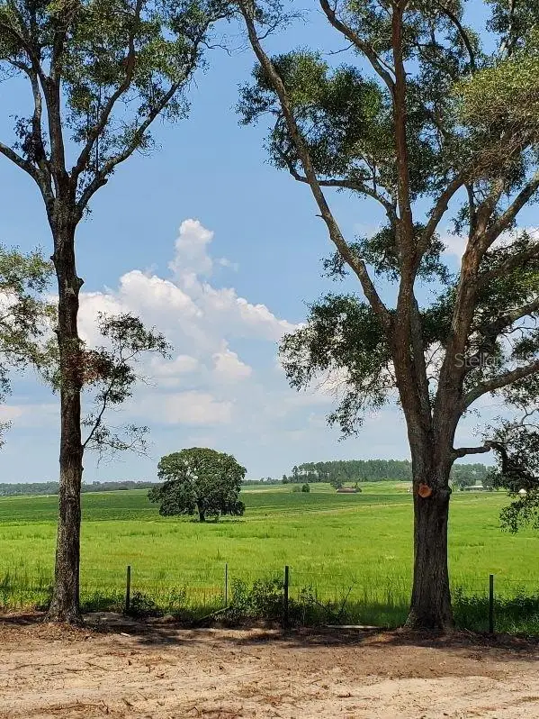 Chilla, Dunnellon, FL 34431 - #3