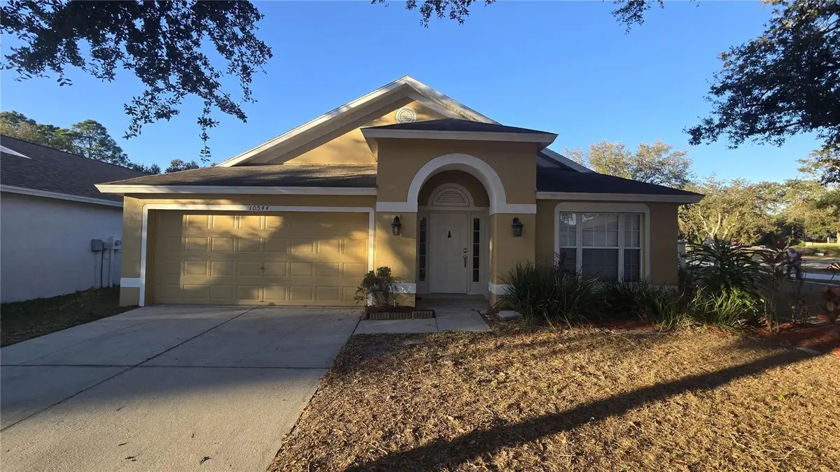 10544 Egret Haven Lane, Riverview, FL 33578 - Image #1