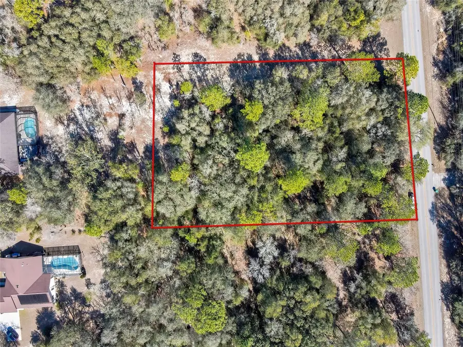 3292 N Annapolis Avenue, Hernando, FL 34442 - #2