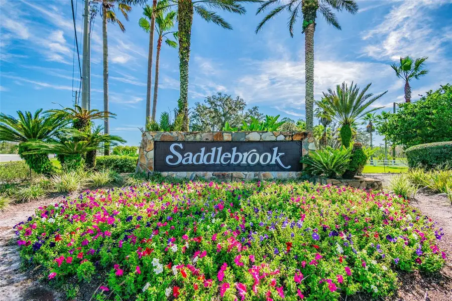 29244 Whipporwill Lane, Wesley Chapel, FL 33543 - #3