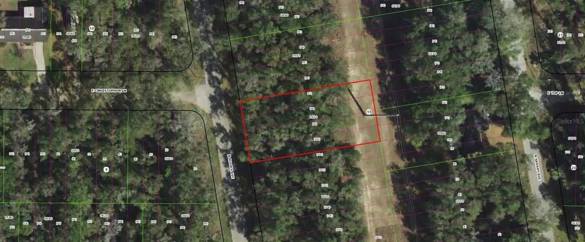 913 N Rooks Avenue, Inverness, FL 34453 - Image #1