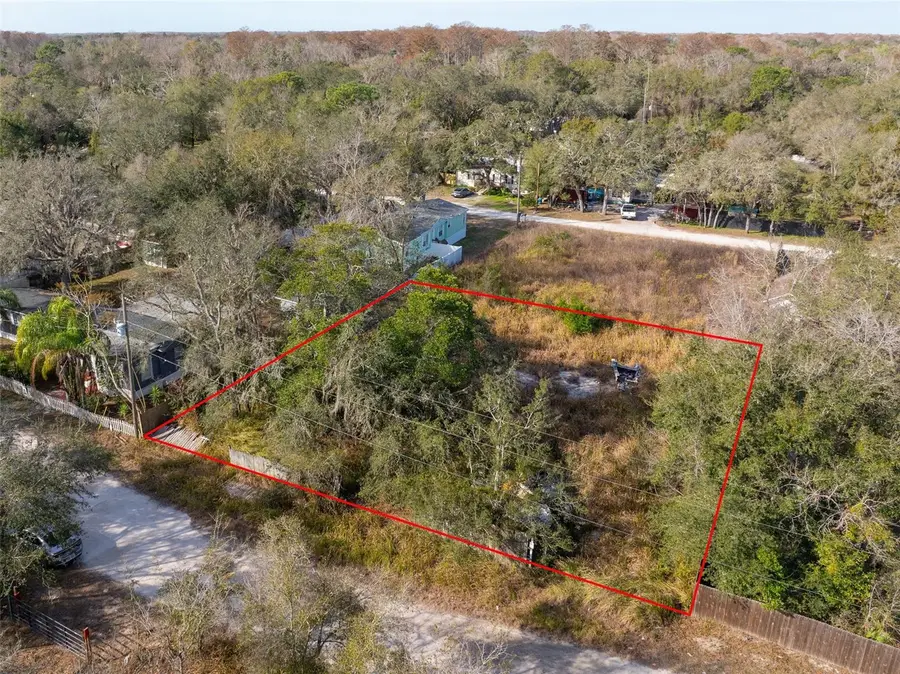 10205 Burton Street, New Port Richey, FL 34654 - Image #2