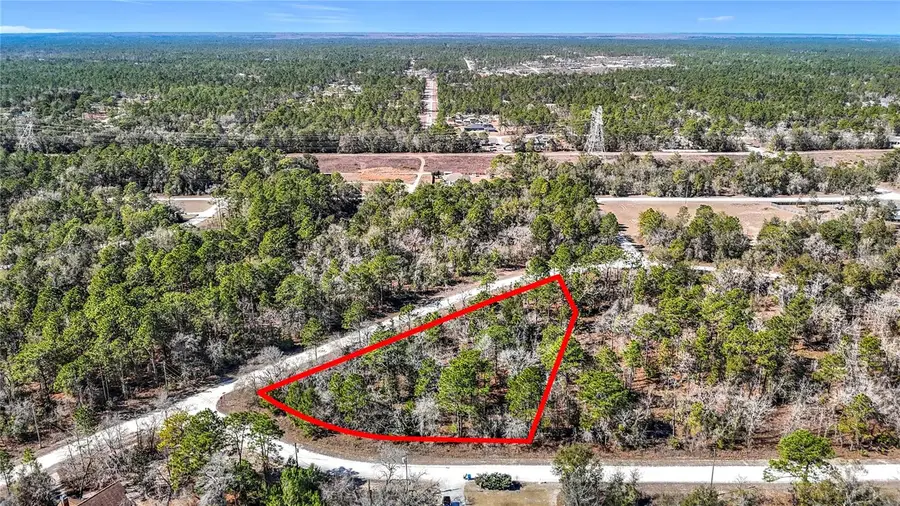 16070 Sheldrake Loop, Weeki Wachee, FL 34614 - #2