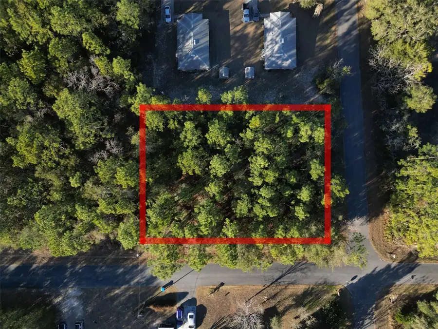 3153 E May Street, Inverness, FL 34453 - Image #3
