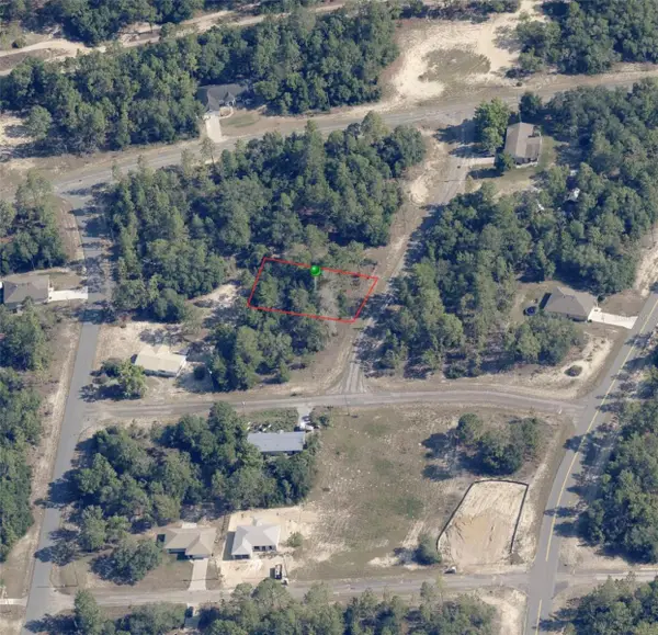 11150 N Edna Terrace, CITRUS SPRINGS, FL 34433