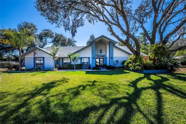 15912 Armistead Lane, ODESSA, FL 33556