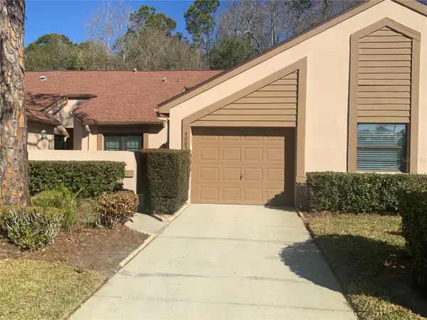 4005 Mermoor Drive, PALM HARBOR, FL 34685