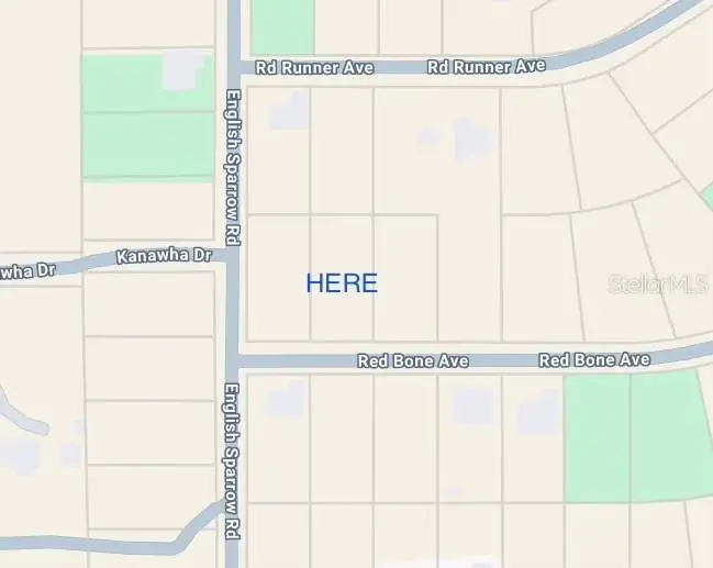 13189 Red Bone Avenue, Weeki Wachee, FL 34614 - Image #1