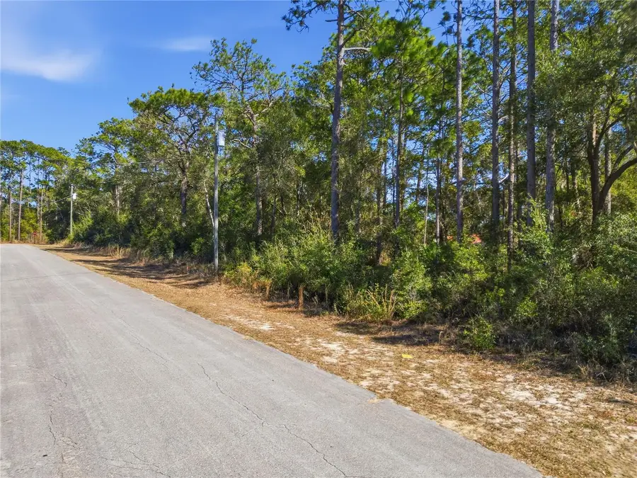 2780 W Elgin Place, Citrus Springs, FL 34434 - Image #2