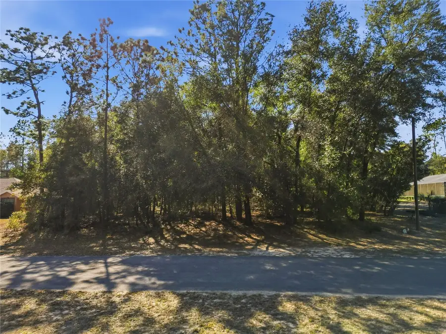 8420 N Foresome Way, Citrus Springs, FL 34434 - Image #2