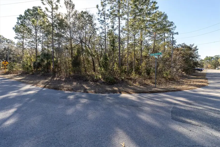 30 Bells Of Ireland Court, Homosassa, FL 34446 - #2