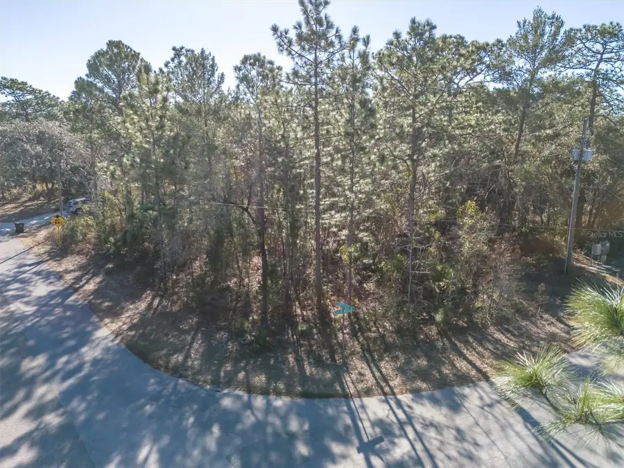 30 Bells Of Ireland Court, Homosassa, FL 34446 - #3