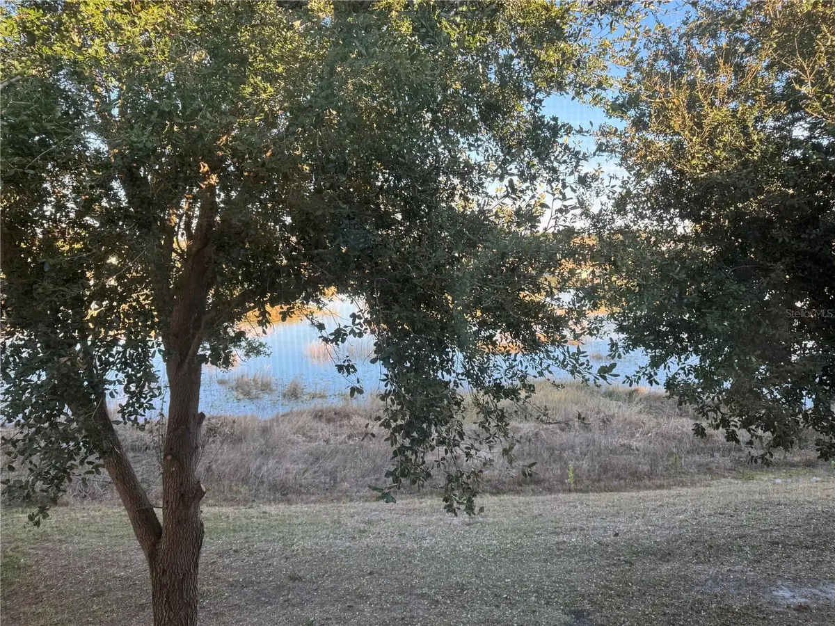 3840 Silverlake Way, Wesley Chapel, FL 33544 - Image #1