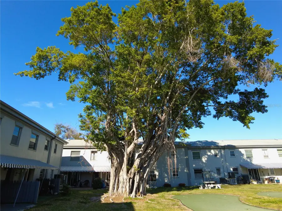 6930A Place De La Paix #2B, South Pasadena, FL 33707 - #3