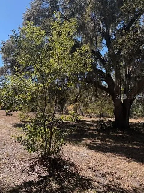 19128 Dorman Road, Lithia, FL 33547 - #2