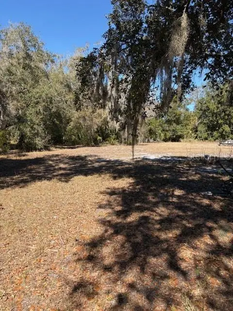 19128 Dorman Road, Lithia, FL 33547 - #3