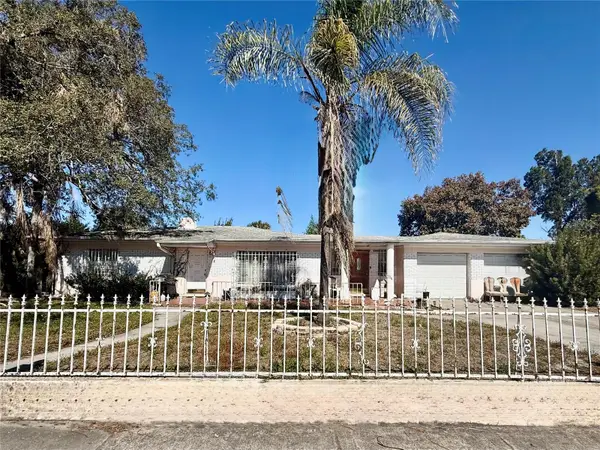 3206 E Giddens Avenue, TAMPA, FL 33610